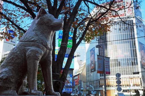 Appartement Edifice Shibuya301